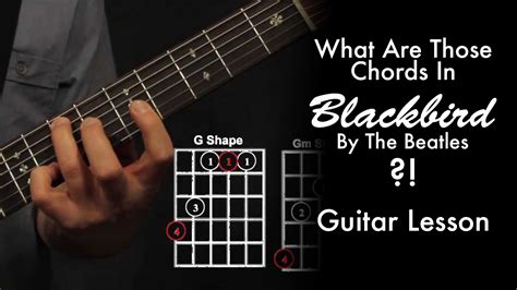 What Chords Are Those In Blackbird by The Beatles?! • Garret's Guitar Lessons