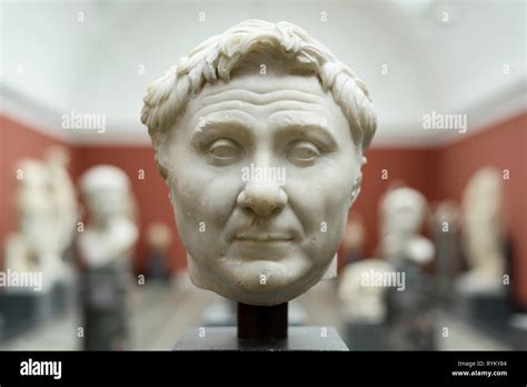 Gnaeus magnus hi-res stock photography and images - Alamy