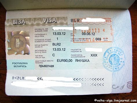 Виза в Беларусь для иностранца, личный опыт: visa_by — LiveJournal
