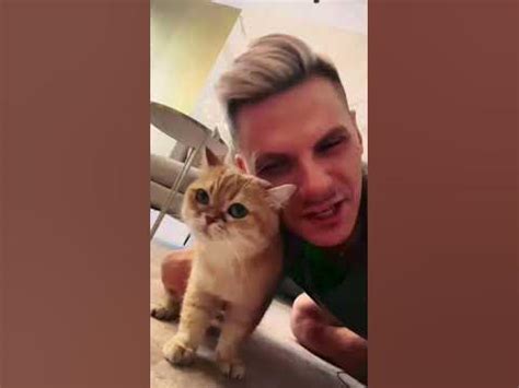 Котэ - YouTube
