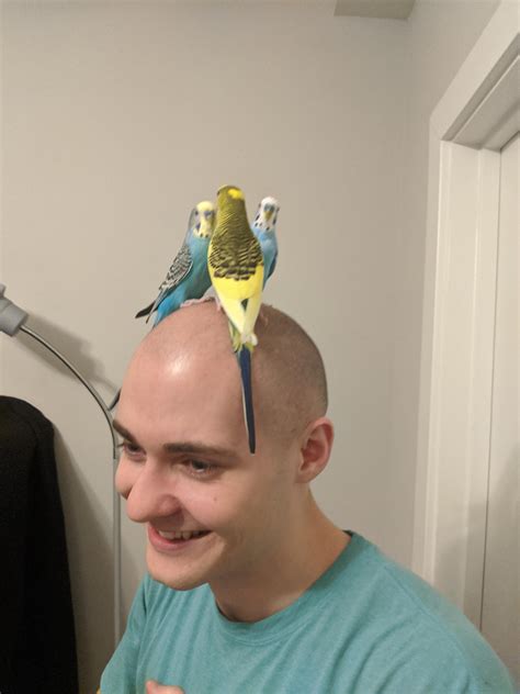 This guide explains why rickey's has been a local favorite 15