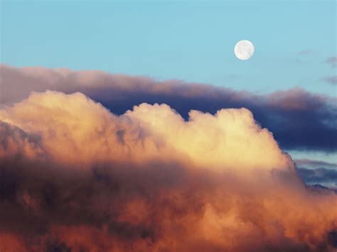 Sunday horoscope georgia nicols predictions for your week ahead 9