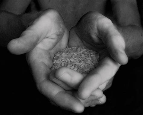 3 Reasons to Give. | elephant journal