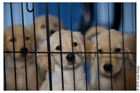 Blondes Turning Heads in Prison