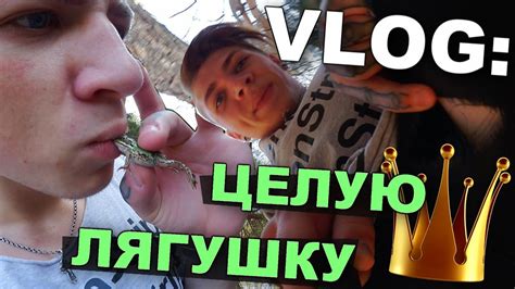VLOG: Целую ЛЯГУШКУ / Андрей Мартыненко - YouTube