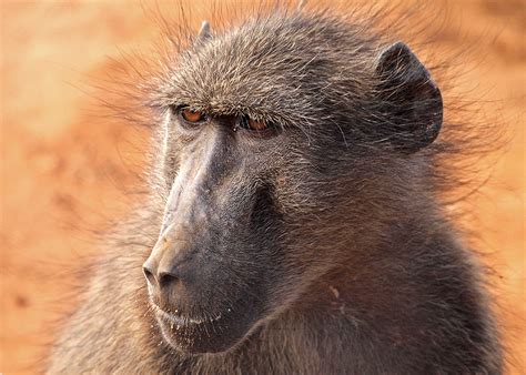 OLYMPUS DIGITAL CAMERA | Namibia