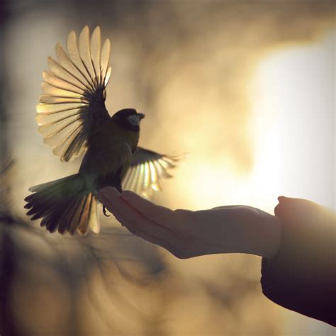 Мир в Фотографии - World In Photo 807 (63 фото) » Картины, художники ...