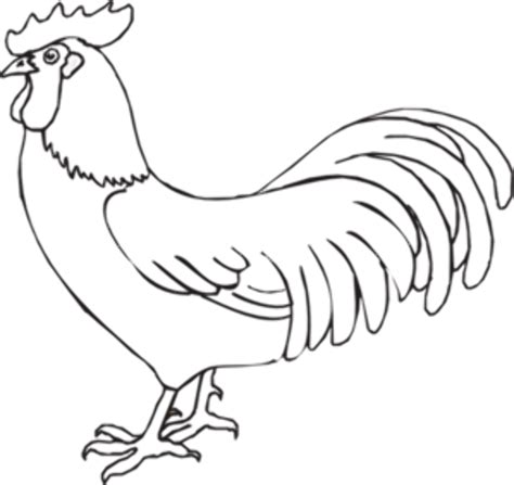 Download High Quality rooster clipart white Transparent PNG Images ...