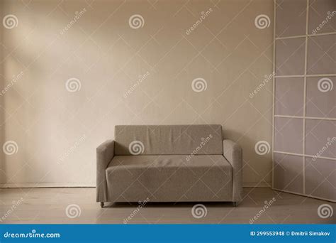 Grey White Sofa in the Interior of the Room Stock Photo - Image of ...