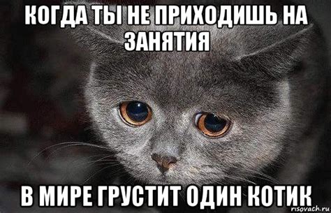 когда ты не приходишь на занятия в мире грустит один котик, Мем ...