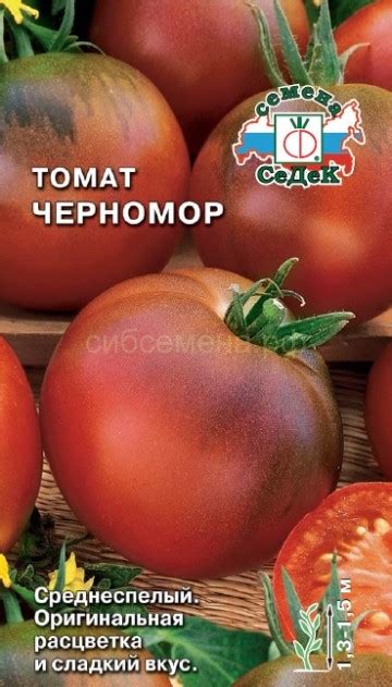 ТОМАТЫ — Семена для Сибири