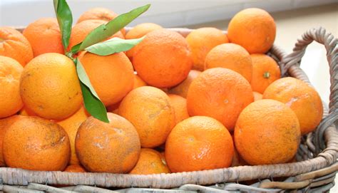 Купить мандарины Харабали 🍊 - сладкие, сушеные, абхазия, мини ...