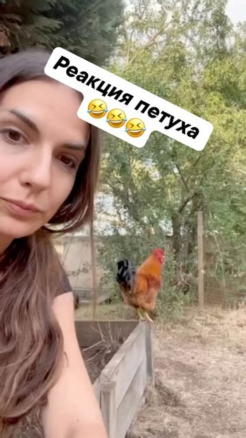 Клипы Сарказм