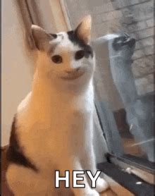 Hello Meme GIFs | Tenor
