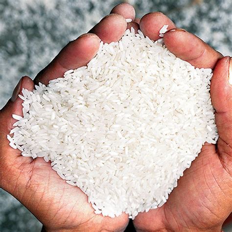 Creamy White Fully Polished Rice, PP Bag, Packaging Size: 50 kg at Rs ...
