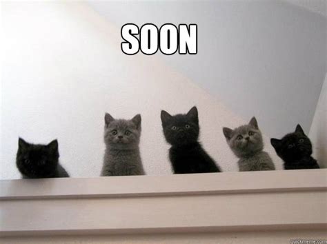 SOON - Soon... - quickmeme