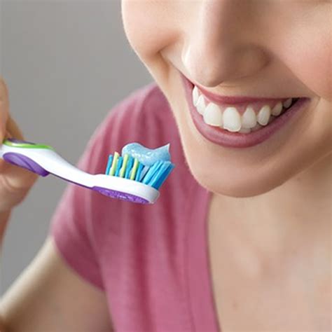 master  art  brushing perfect  technique gresham family