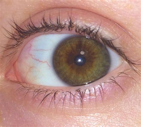 Brown Hazel Green with central heterochromia?? what are they help pls ...