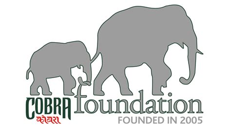 contact  cobra foundation