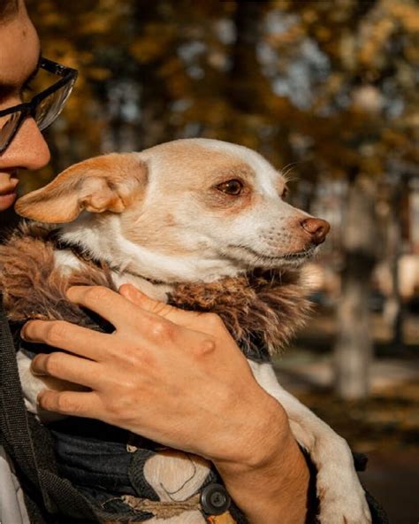 Girl Dog Names 2025: 150 Best, Adorable & Unique Picks Pup Parents Love ...