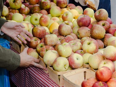 The Infatuation Chicago Guide To Fall 2022 - The Infatuation