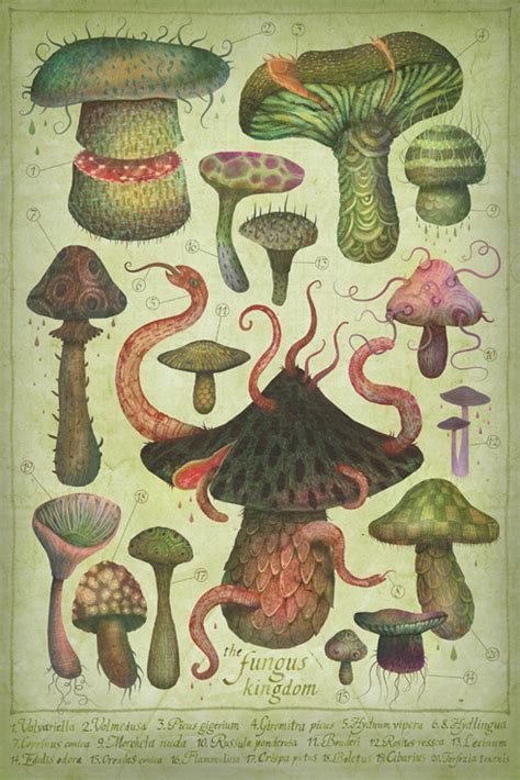 Art & Science Journal — Vladimir Stankovic Vladimir, an illustrator from...