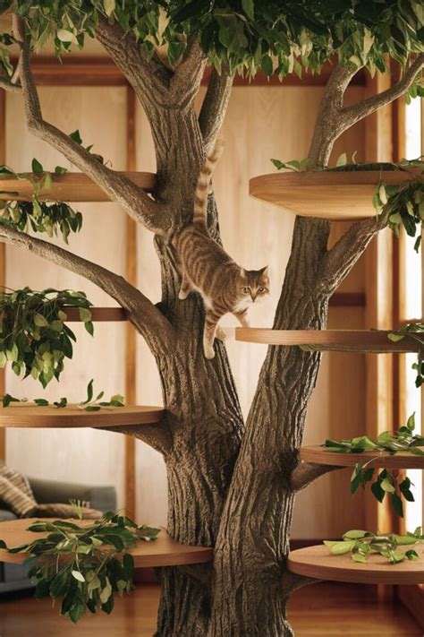 25 DIY Cat Shelves [Within Budget] – craftydiyers.com