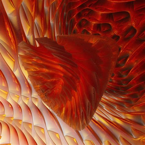 ApoB Test: Why Apolipoprotein B is the Top Predictor of Heart Health ...