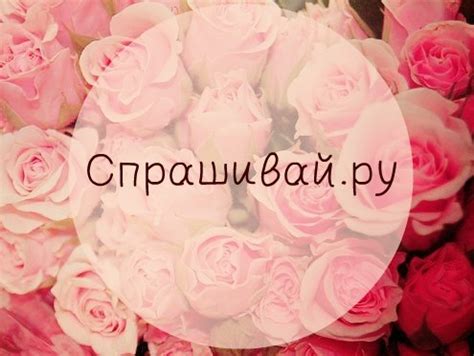 Спрашивай.ру | Спроси* Задай* Обосри* 2024 | ВКонтакте