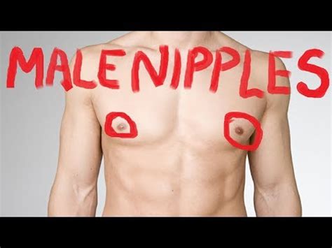 fedUP chronicles: Why Do Men Have Nipples ? Reasonable Biological