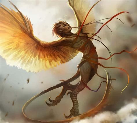 Harpia Na Mitologia Grega - Harpia Mitologia Grega