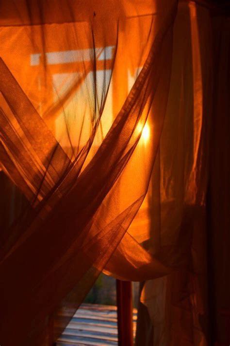 ~ pinterest - @alisemednee ~ | Orange aesthetic, Orange wallpaper ...