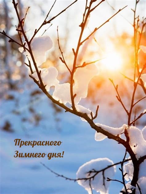 Картинки с надписью - Прекрасного Зимнего дня!.