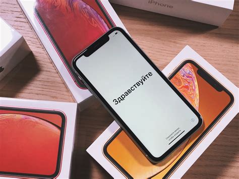 Обзор Apple iPhone XR. Лучший айфон этого года