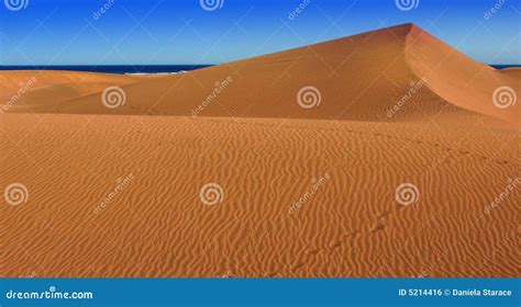 Deserto foto de stock. Imagem de isolado, humano, calmo - 5214416