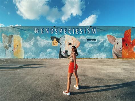 Catalina Robayo Oficial