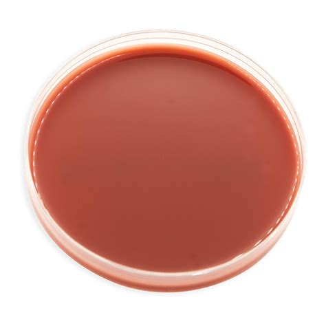 dna genotek anaerobic culture products  plates