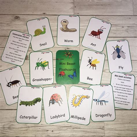 Mini Beast Flashcards - Piggledots