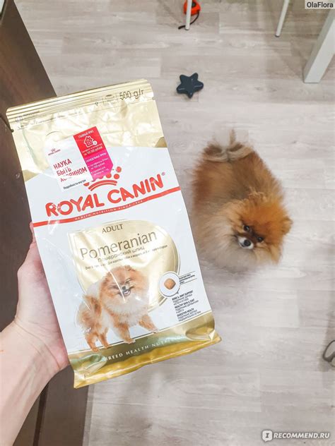 Корм для собак Royal Canin Pomeranian Adult для Померанского шпица с 8 ...