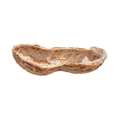 photo middle peanut shell isolated   white background