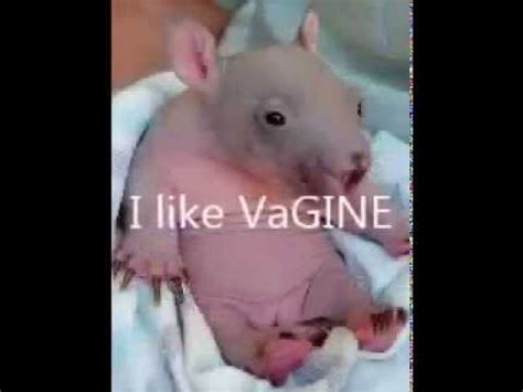Like Vagine - YouTube
