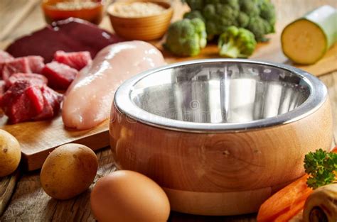 Empty dog food bowl stock image. Image of care, bones - 9072271