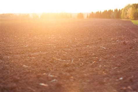 premium photo arable land soil  ploughed field  sunset