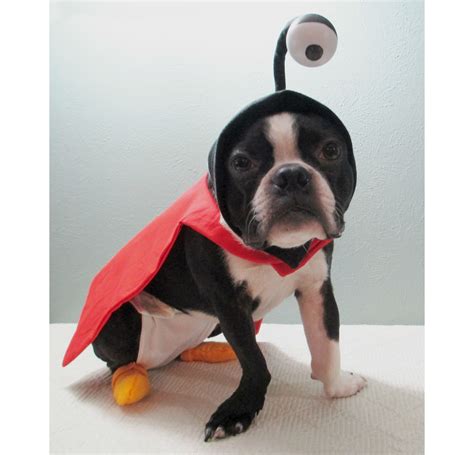 nibbler futurama costume 4