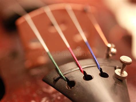 violin strings stock photo image  macro close closeup