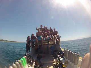 road  ryans  naked dive  general dive banter