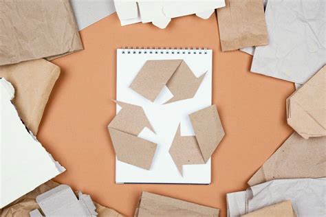 Reciclare hârtie – tot ce trebuie să știi pentru a avea un business ...