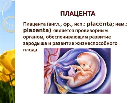 Плацентарная недостаточность - презентация онлайн