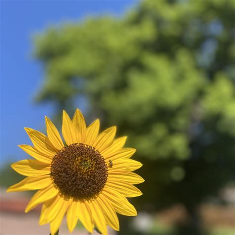 Caty Loves to Dye added a new photo. - Caty Loves to Dye