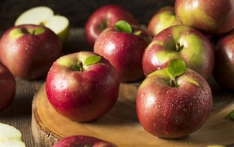 The 5 Best Substitutes For Mcintosh Apple | Americas Restaurant